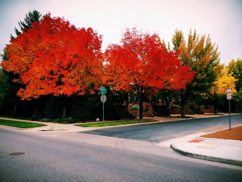 Autumn in Denver