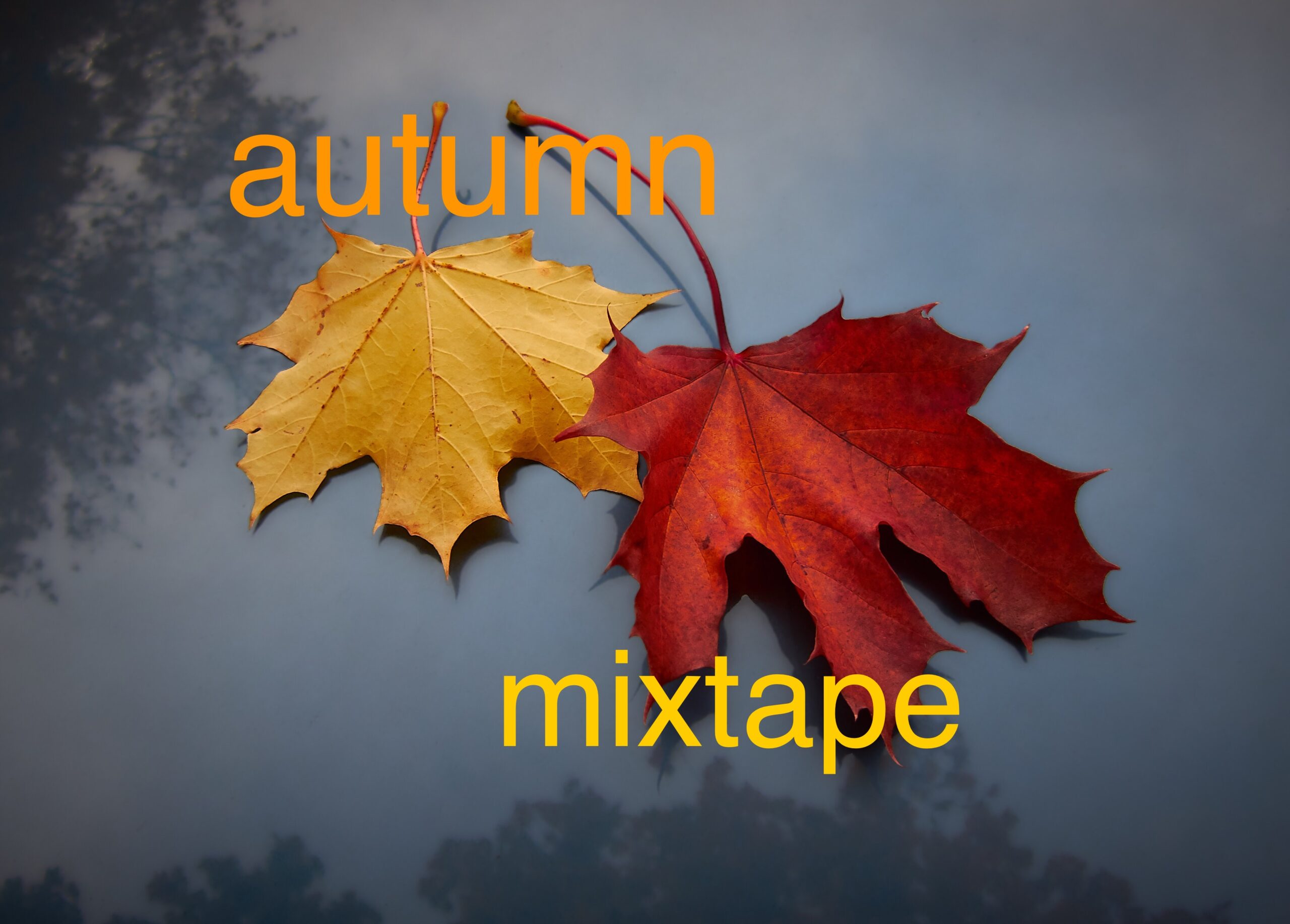 autumn mixtape leaves